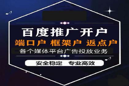 成功托管SEM竞价，实现品牌快速曝光